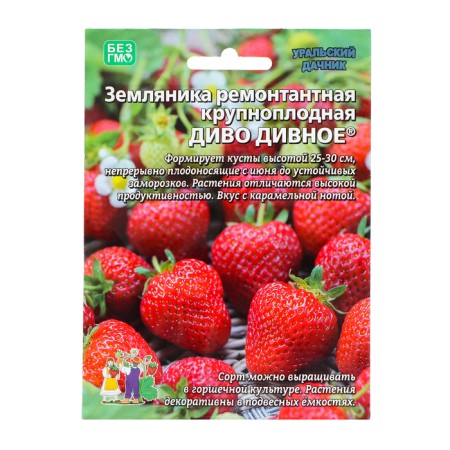 Strawberries "marvelous", 10 pcs