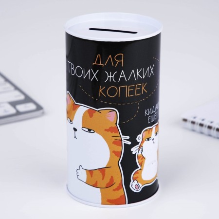 Копилка «Для твоих копеек», 12 х 6,5 см-3
