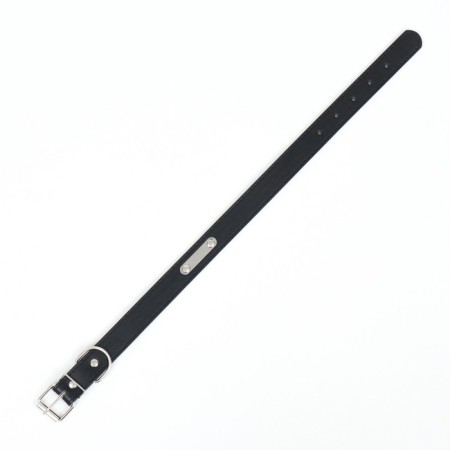 A collar made of artificial leather with a wool for engraving, 2.5 x 52 cm, Osh 35-45 cm, black-3