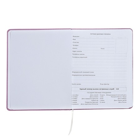 Universal diary for grade 1-11 Mentality, hard cover, artificial leather, liesse, 80 g/m2-3