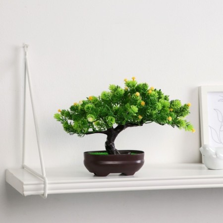 Bonsai in the pot "Werelp tree" 12x17 cm, mix-2