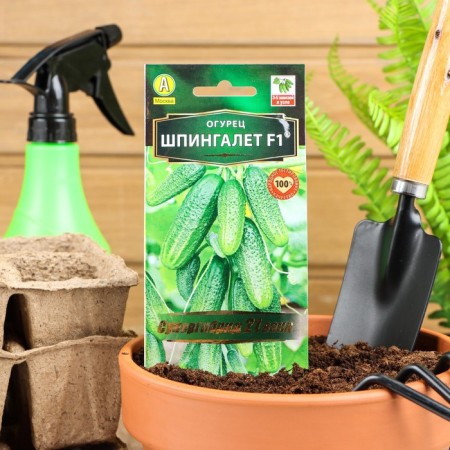 Seeds of the cucumber "Spingalet" F1, parthenocarpic, 10 pcs.