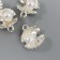 Decor for creativity Metal "Pearl in a shell" set of 6 pcs 1.2x1.2x0.6 cm