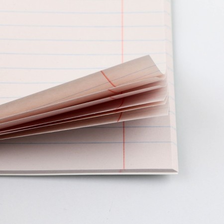 An objective note 48 sheets, A5, minimalism, with reference materials “September 1: Russian language”, cover coated cardboard 230 gr., Inner block in a line of 80 gr., Whiteness up to 80%, block No. 2.-4
