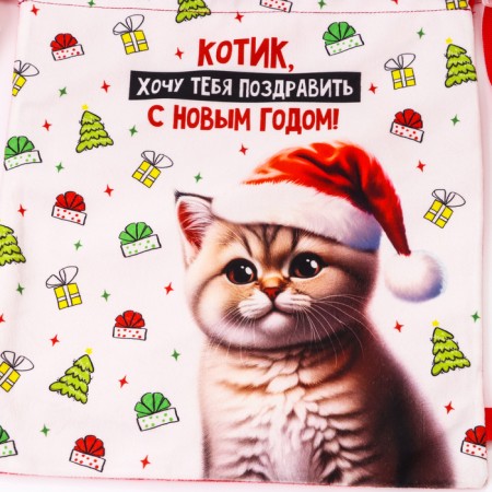 Children's bag "Kit in a hat", 35 × 30 cm, New Year's-3