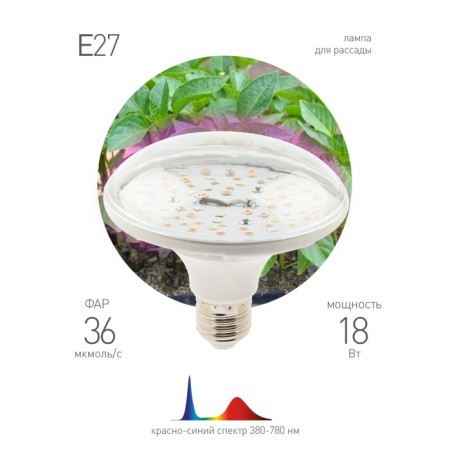Phytolamp for plants LED era Fito-18W-Rb-E27 red-blue spectrum 18 W E27-6