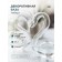 Glass Vase "Swans", 2 pcs, the color is transparent