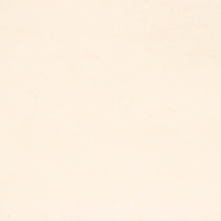 Floristic parchment "beige" 0.6 x 10 m, 52 g/m2-2