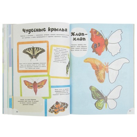 Entertaining book "Wild Animals"-6