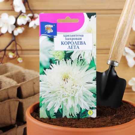 Seeds of chrysanthemum flowers multi -flowered "Queen of Summer", 0.03 g-2