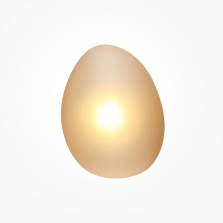 Wall lamp (sconces) ROCA 1x5W LED
