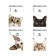 Notepad on spirals A6, 80 sheets, cage, erichkruuse "cats", cardboard cover, offset unit, 100%whiteness, mix