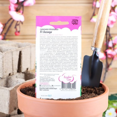 Gloxinia flowers "Legend", F1, 4 pcs.-1
