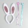 Carnival set "Sweetic Bunny" (rim-ear, hairpin 2 pcs.)