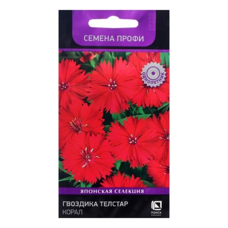 Flower seeds cloves Telstar "Coral", 10 pcs.