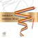 Ribbon for rhythmic gymnastics with a stick Grace dance, 2 m, color Rainbow