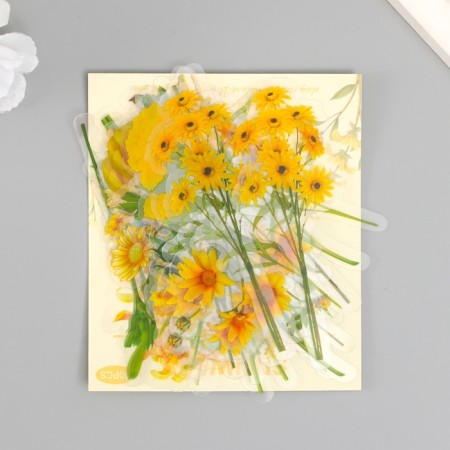 Stickers for creativity PLC PVC "Solar Polyana" set 40 pcs 9x10.5 cm-4