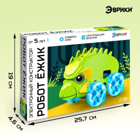 Electronic designer "Robot Hedgehog"-1