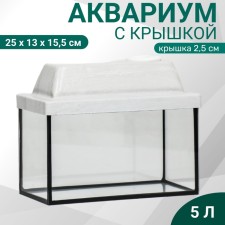 Aquarium 