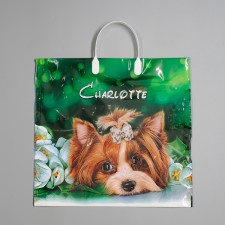 Charlotte package, polyethylene with a plastic pen, 38 x 35 cm, 90 μm