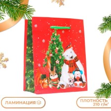 Gift Package 