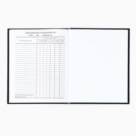 School diary for grade 1-11, in a solid cover, 40 l. "I can't take knowledge from me"-4