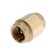 Valve Reveal Aqualink, 1 ", internal/internal thread, brass core