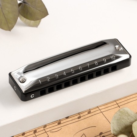 Music Life T002 C Diatonic Harly, 10 holes, with a case-1