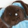 Comforter for sleep "Bunny LU"
