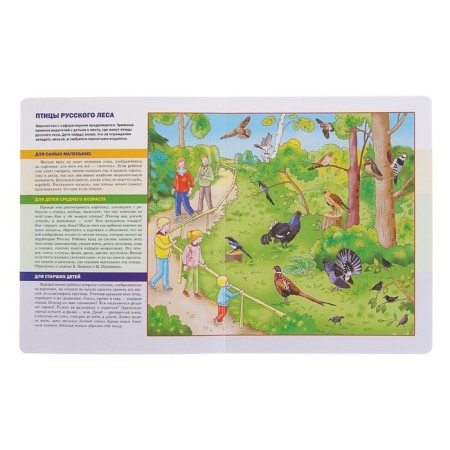 Speech development: in the zoo. Zhukova N. S.-2