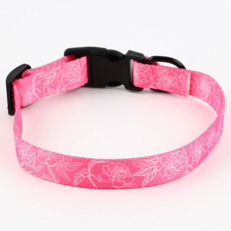 Collar My Little Princess, fastener - Fastex, 2 cm 25-40 cm-4
