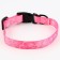 Collar My Little Princess, fastener - Fastex, 2 cm 25-40 cm