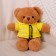 Soft toy "Bear" in a sweatshirt, 28 cm, color mix