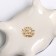 Gzhel box "Turtle", white-blue, ceramics,