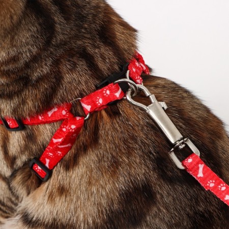 Set "Classic", Kapron, leash 120 x 1 cm, fire 21-35 cm, red-7