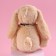 Soft toy "The most beautiful", bunny