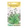 Oregano seeds Ordinary arbat Semko, 0.1 g