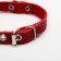 Collar of a single-layer leather unsyted, 1.2 cm, Osh 20-26 cm, mix of colors and types