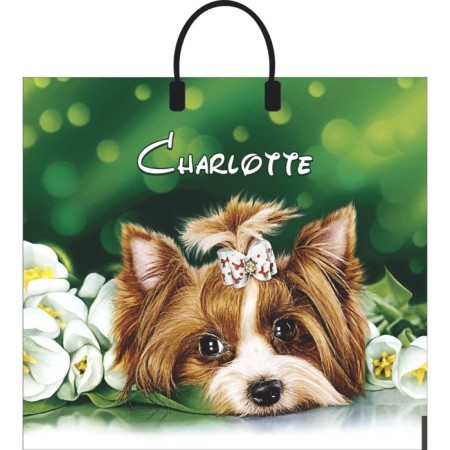 Charlotte package, polyethylene with a plastic pen, 38 x 35 cm, 90 μm-2