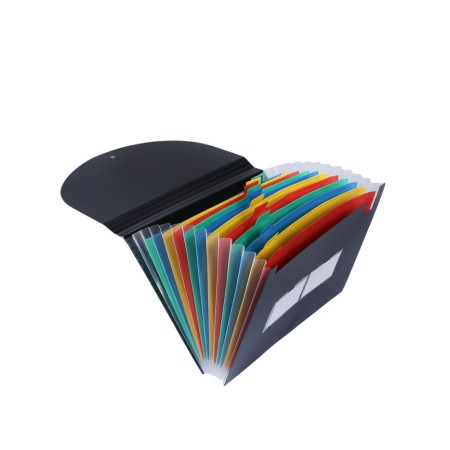 Folder 12 departments, A4, with color separators, black-5