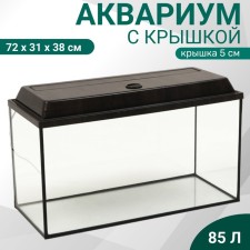Aquarium 