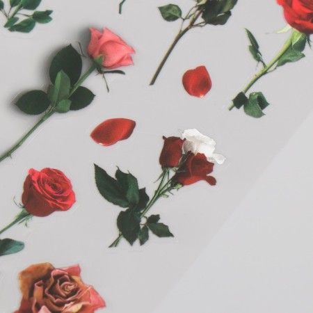 Stickers for creativity PVC "Red Flowers" set 2 sheets 10x15 cm-1
