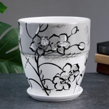 Pot of flowering dry flowers (gray) 2.5 liters