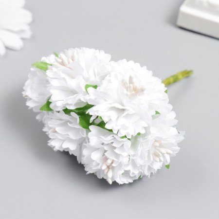 Flowers for decorating "Astra White" 1 bouquet = 6 colors 10 cm-1