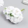 Flowers for decorating "Astra White" 1 bouquet = 6 colors 10 cm