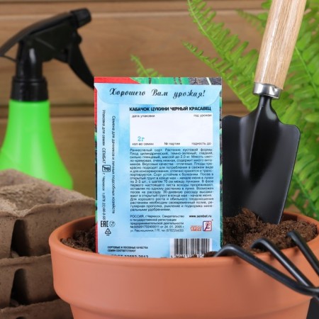 Semen zucchini zucchini "Black handsome", 2 g-1