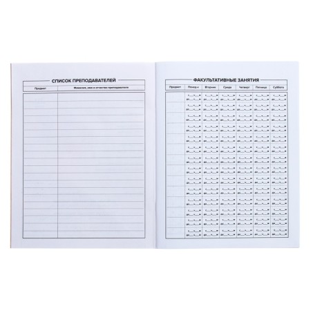 Universal diary for grades 1-11, 48 sheets "Crazy Panda", soft cover, selective UV-fluid, matte lamination-5