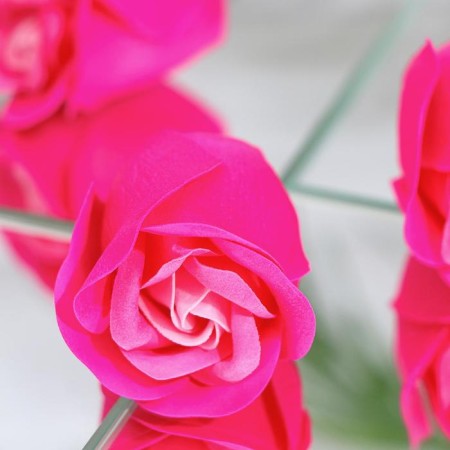 Soap roses, three -color, set of 6 pcs.-5