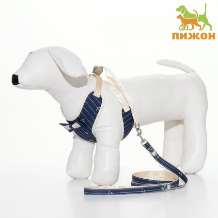 A set with a soft harness "anchor", size m, leash, 120 x 1.5 cm, og 34-66 cm, blue