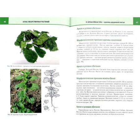 Atlas of medicinal plants and impurities for them. Tutorial-1